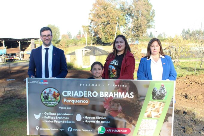 Sercotec invita a participar del programa Capital Abeja para impulsar el emprendimiento femenino