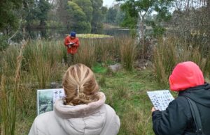 Municipalidad de Freire realizó jornada de educación ambiental en Laguna Santa Julia junto a adultos mayores