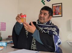 La “Ruta del Lawen”: acercando la medicina mapuche a usuarios de Padre Las Casas