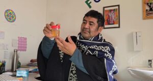 La “Ruta del Lawen”: acercando la medicina mapuche a usuarios de Padre Las Casas