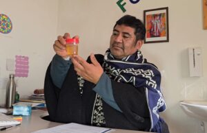 La “Ruta del Lawen”: acercando la medicina mapuche a usuarios de Padre Las Casas