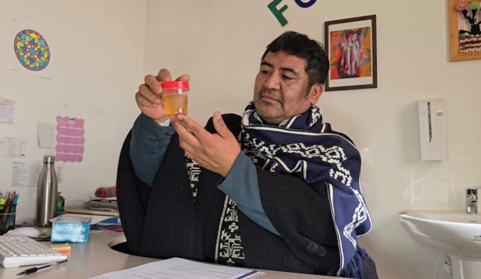 La “Ruta del Lawen”: acercando la medicina mapuche a usuarios de Padre Las Casas