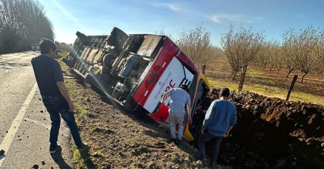 Grave volcamiento de bus en ruta Freire-Villarrica: reportan varios lesionados y una presunta víctima fatal