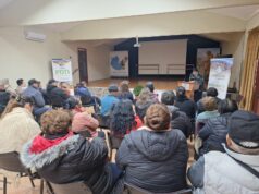 Apicultores locales conforman la primera asociación gremial apícola de Pitrufquén