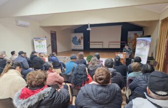 Apicultores locales conforman la primera asociación gremial apícola de Pitrufquén