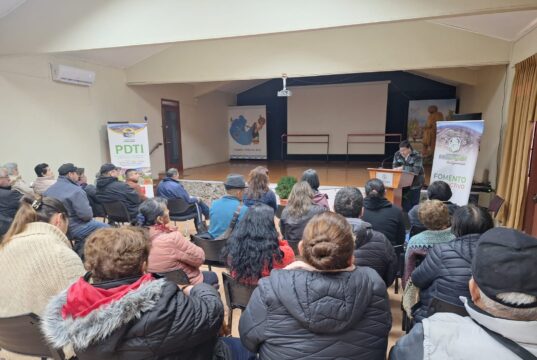 Apicultores locales conforman la primera asociación gremial apícola de Pitrufquén