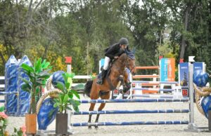 Joven temuquense representará a Chile en Mundial de Clubes de Salto Ecuestre en Francia 2026