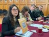 ¿Qué falta para sentirse seguro? Villarrica consulta a sus vecinos antes de definir nuevas medidas