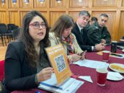 ¿Qué falta para sentirse seguro? Villarrica consulta a sus vecinos antes de definir nuevas medidas