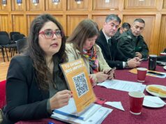 ¿Qué falta para sentirse seguro? Villarrica consulta a sus vecinos antes de definir nuevas medidas
