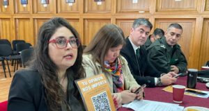 ¿Qué falta para sentirse seguro? Villarrica consulta a sus vecinos antes de definir nuevas medidas
