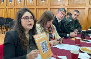 ¿Qué falta para sentirse seguro? Villarrica consulta a sus vecinos antes de definir nuevas medidas