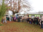 Escuelas El Castillo y Las Vertientes de Villarrica celebraron el Wetripantu fortaleciendo la identidad cultural y el aprendizaje intercultural