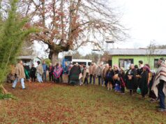 Escuelas El Castillo y Las Vertientes de Villarrica celebraron el Wetripantu fortaleciendo la identidad cultural y el aprendizaje intercultural