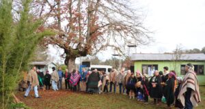 Escuelas El Castillo y Las Vertientes de Villarrica celebraron el Wetripantu fortaleciendo la identidad cultural y el aprendizaje intercultural