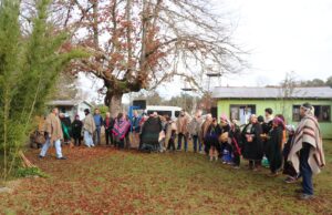 Escuelas El Castillo y Las Vertientes de Villarrica celebraron el Wetripantu fortaleciendo la identidad cultural y el aprendizaje intercultural