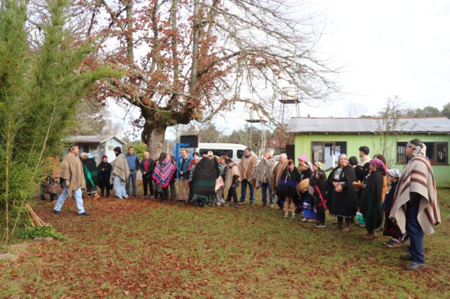 Escuelas El Castillo y Las Vertientes de Villarrica celebraron el Wetripantu fortaleciendo la identidad cultural y el aprendizaje intercultural