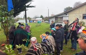 Comuy honró sus raíces con izamiento de bandera mapuche a días del We Tripantu
