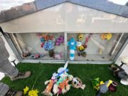Aumentan las denuncias por profanación de sepulturas en el cementerio de Pitrufquén