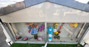 Aumentan las denuncias por profanación de sepulturas en el cementerio de Pitrufquén