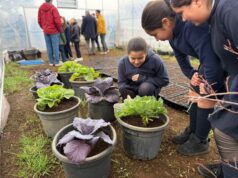 Liceo La Frontera de Pitrufquén inaugura jardín botánico escolar