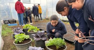 Liceo La Frontera de Pitrufquén inaugura jardín botánico escolar
