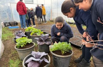 Liceo La Frontera de Pitrufquén inaugura jardín botánico escolar