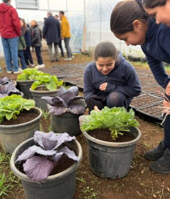 Liceo La Frontera de Pitrufquén inaugura jardín botánico escolar