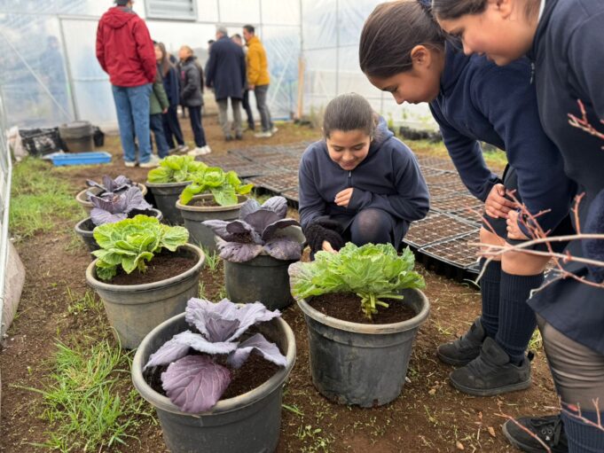 Liceo La Frontera de Pitrufquén inaugura jardín botánico escolar