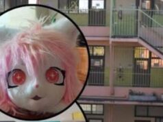 Madre acusa agresión a su hija en colegio de Temuco tras usar máscara de gato