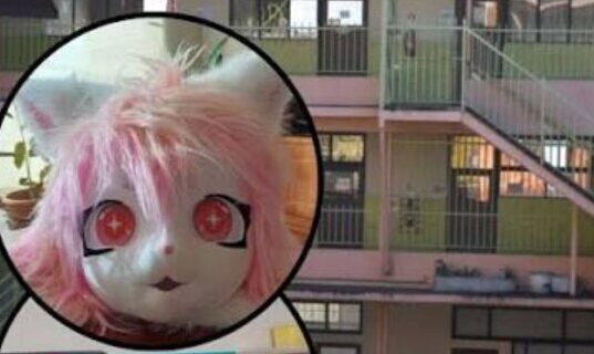 Madre acusa agresión a su hija en colegio de Temuco tras usar máscara de gato