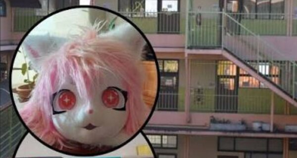 Madre acusa agresión a su hija en colegio de Temuco tras usar máscara de gato