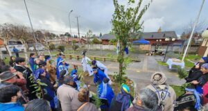 Cesfam de Freire conmemoró el We Tripantu fortaleciendo el diálogo entre salud intercultural y comunidad
