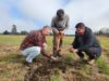 INIA Tranapuente lidera innovador sitio demostrativo para promover el cultivo sustentable de papa en Freire