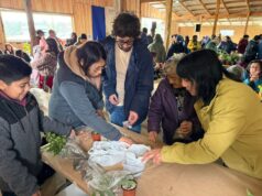 Gran trafkintu reunió a más de 150 productores agrícolas en el sector cordillera de Pitrufquén