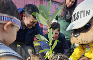 Fundación Integra releva la interculturalidad desde la primera infancia en emotiva celebración del We Tripantü en Capitán Pastene