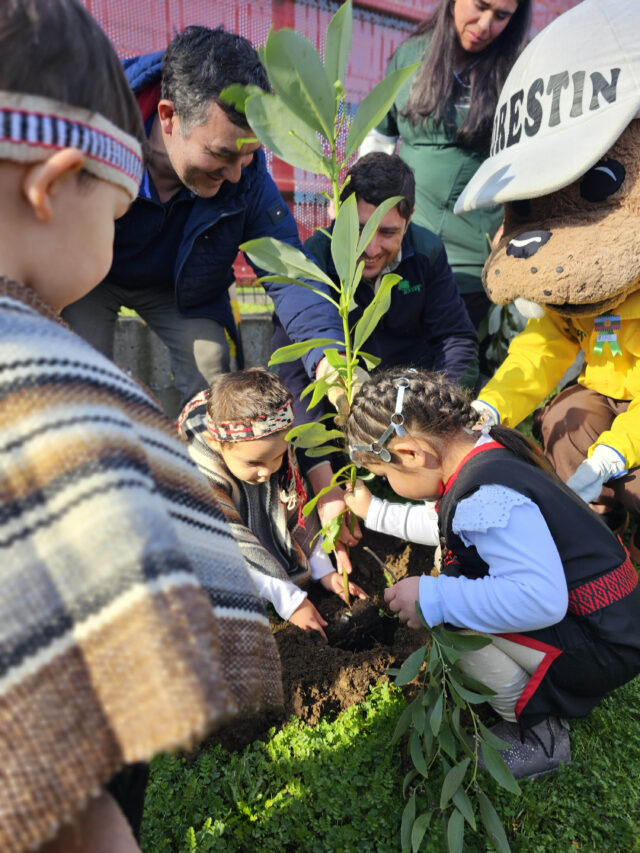 Fundación Integra releva la interculturalidad desde la primera infancia en emotiva celebración del We Tripantü en Capitán Pastene