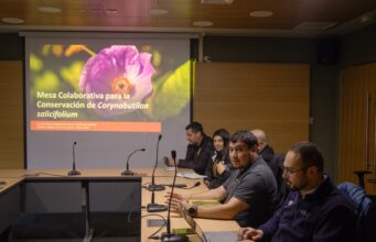 Gorbea inicia trabajo conjunto para proteger una especie única presente en el cerro Maulén