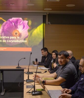Gorbea inicia trabajo conjunto para proteger una especie única presente en el cerro Maulén