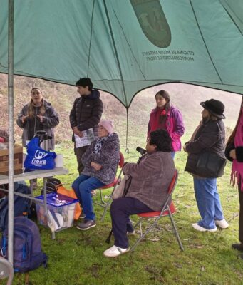 Adultos mayores de Freire participaron en jornada de avistamiento de flora y fauna por el día mundial del medio ambiente