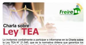 Invitan a conocer los alcances de la Ley TEA en charla gratuita que se realizará en Freire
