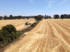 Radiografía inédita al campo en la Araucanía: Agricultores de Malleco levantan catastro para medir el real impacto de la inseguridad en la región