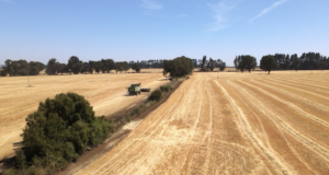 Radiografía inédita al campo en la Araucanía: Agricultores de Malleco levantan catastro para medir el real impacto de la inseguridad en la región