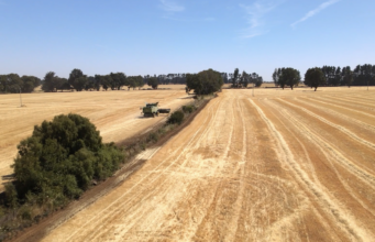 Radiografía inédita al campo en la Araucanía: Agricultores de Malleco levantan catastro para medir el real impacto de la inseguridad en la región