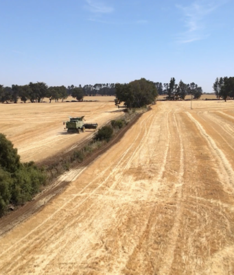 Radiografía inédita al campo en la Araucanía: Agricultores de Malleco levantan catastro para medir el real impacto de la inseguridad en la región