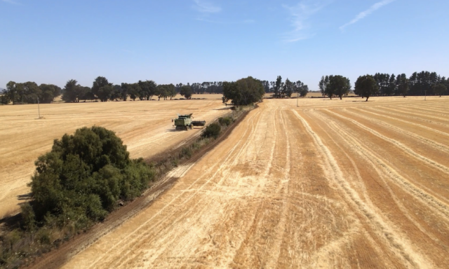 Radiografía inédita al campo en la Araucanía: Agricultores de Malleco levantan catastro para medir el real impacto de la inseguridad en la región