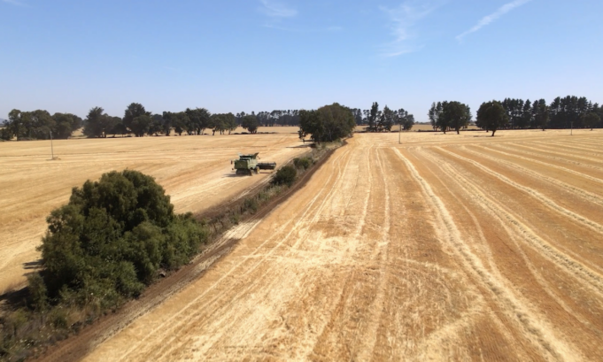 Radiografía inédita al campo en la Araucanía: Agricultores de Malleco levantan catastro para medir el real impacto de la inseguridad en la región