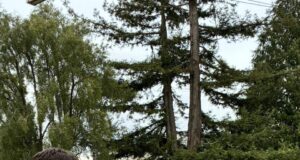 Subsecretario de Agricultura despliega agenda en terreno para impulsar el desarrollo productivo de La Araucanía