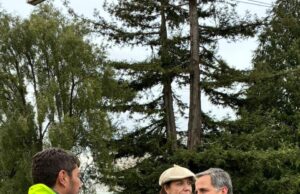 Subsecretario de Agricultura despliega agenda en terreno para impulsar el desarrollo productivo de La Araucanía
