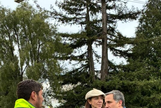 Subsecretario de Agricultura despliega agenda en terreno para impulsar el desarrollo productivo de La Araucanía
